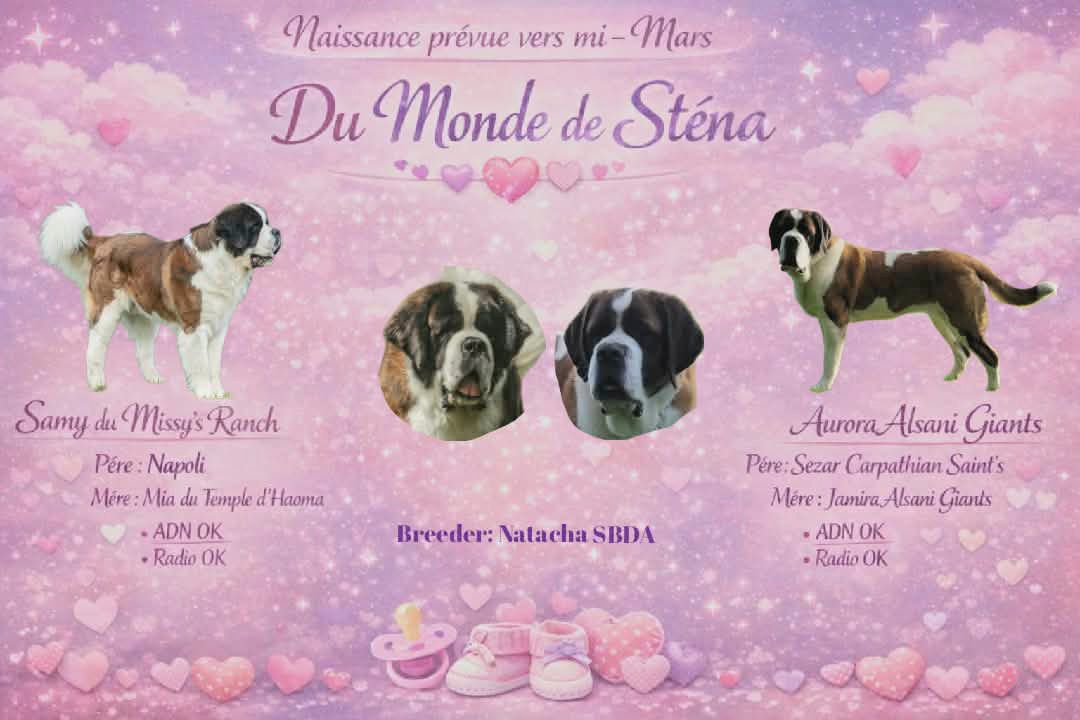 Naissance prévue vers le 20 mars 2026